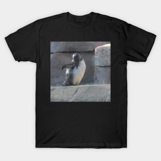 Penguin T-Shirt